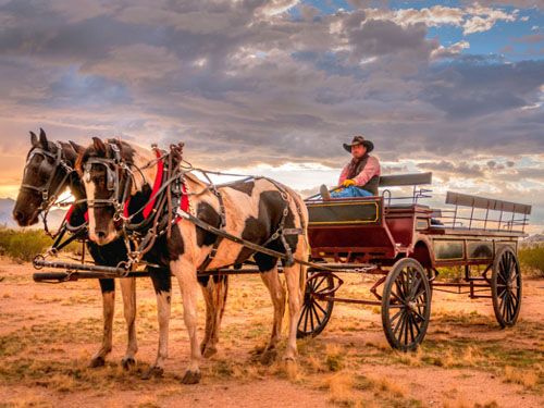 dude ranch wagon ride