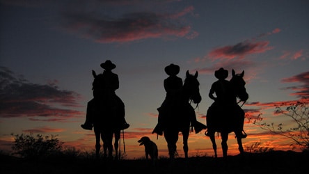 Horseback riding at sunset