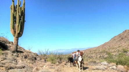 Riding in the high mountains