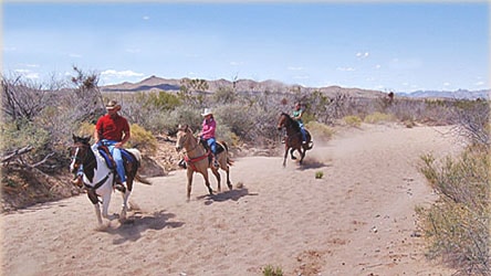 Loping in the desert washes