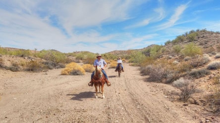 Horseback riding down a desert wash