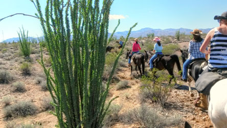 Guests horseback riding in the desert