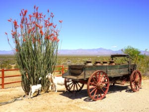 Antique Brookville Hauler