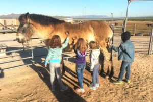 Children brushing horse at Stagecoach Trails Guest Ranch